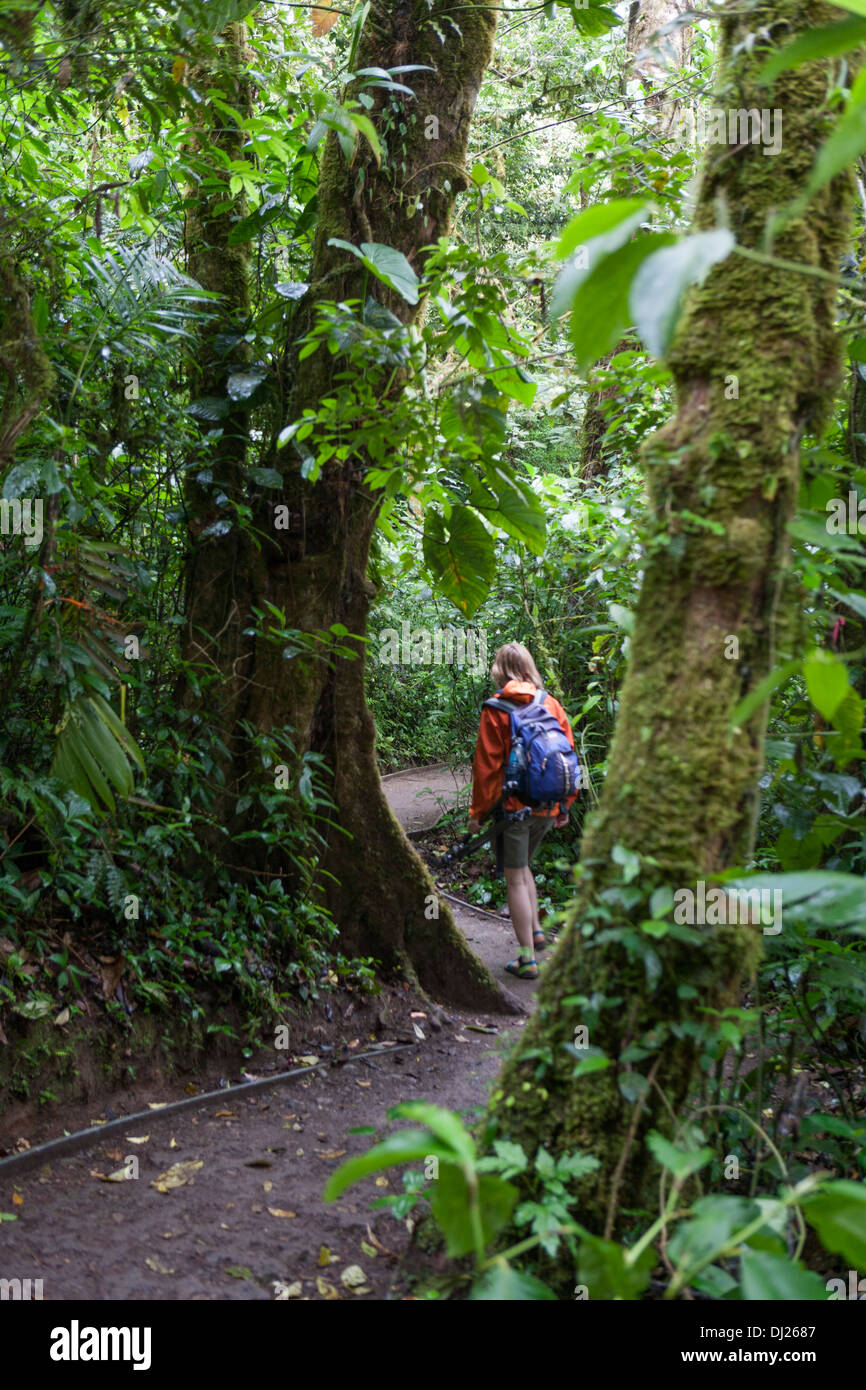 A woman walking through The Monteverde Cloud Forest Reserve in Costa Rica. Stock Photo