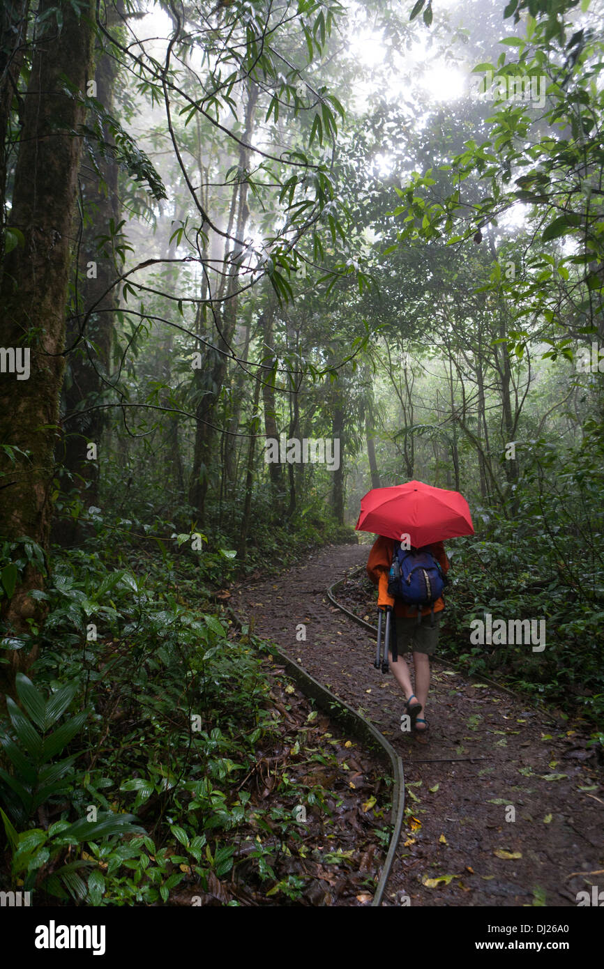 A woman walking through The Monteverde Cloud Forest Reserve in Costa Rica. Stock Photo
