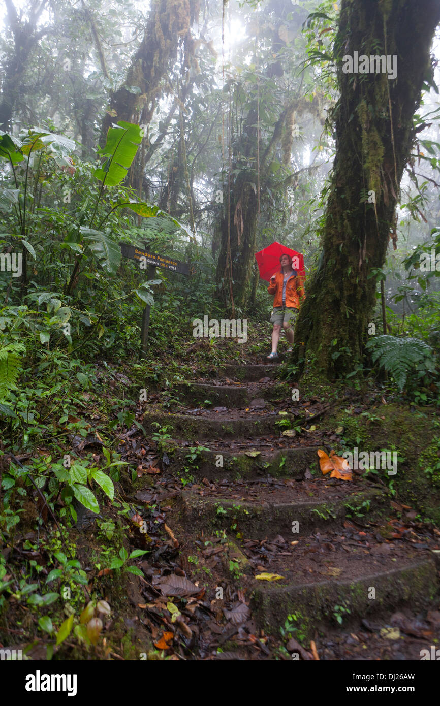 A woman walking through The Monteverde Cloud Forest Reserve in Costa Rica. Stock Photo