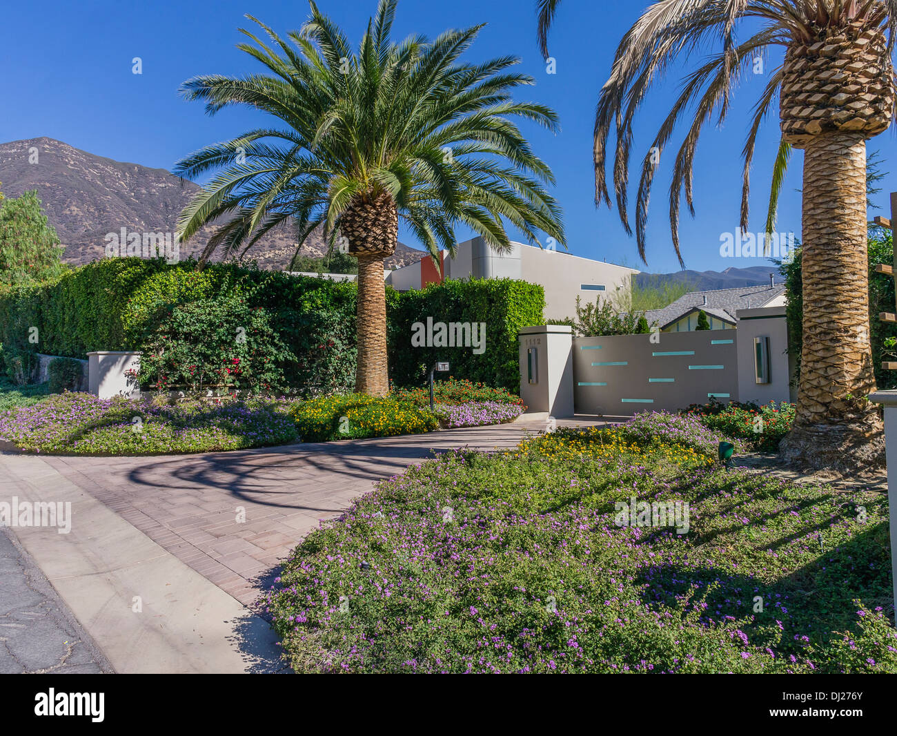 Houses stucco exterior palm trees hires stock photography and images