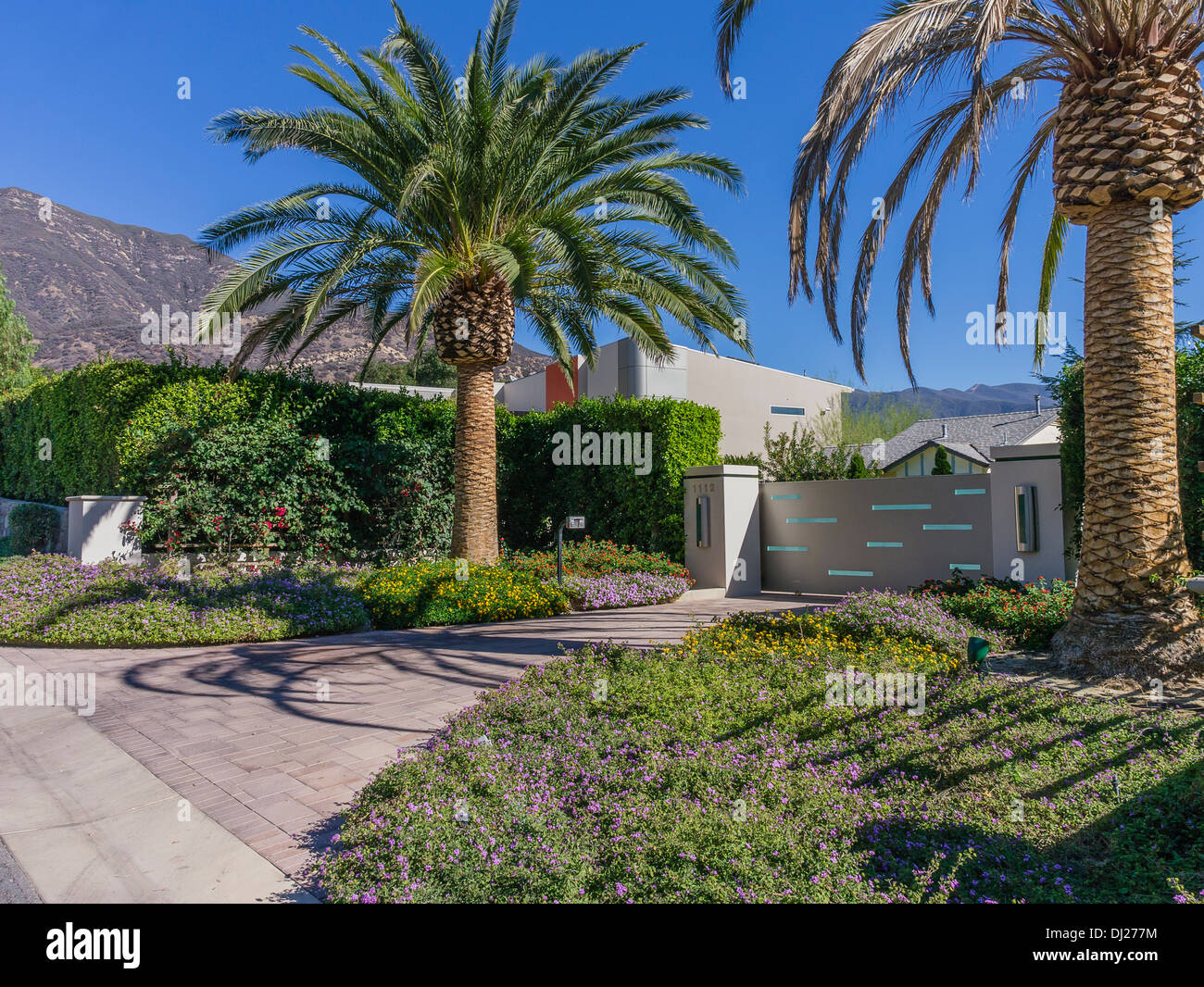 Houses stucco exterior palm trees hires stock photography and images