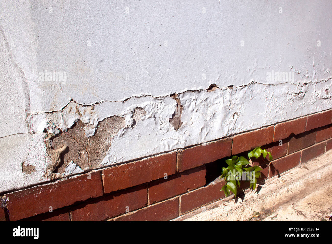 cracking and peeling paint due to rising damp Stock Photo