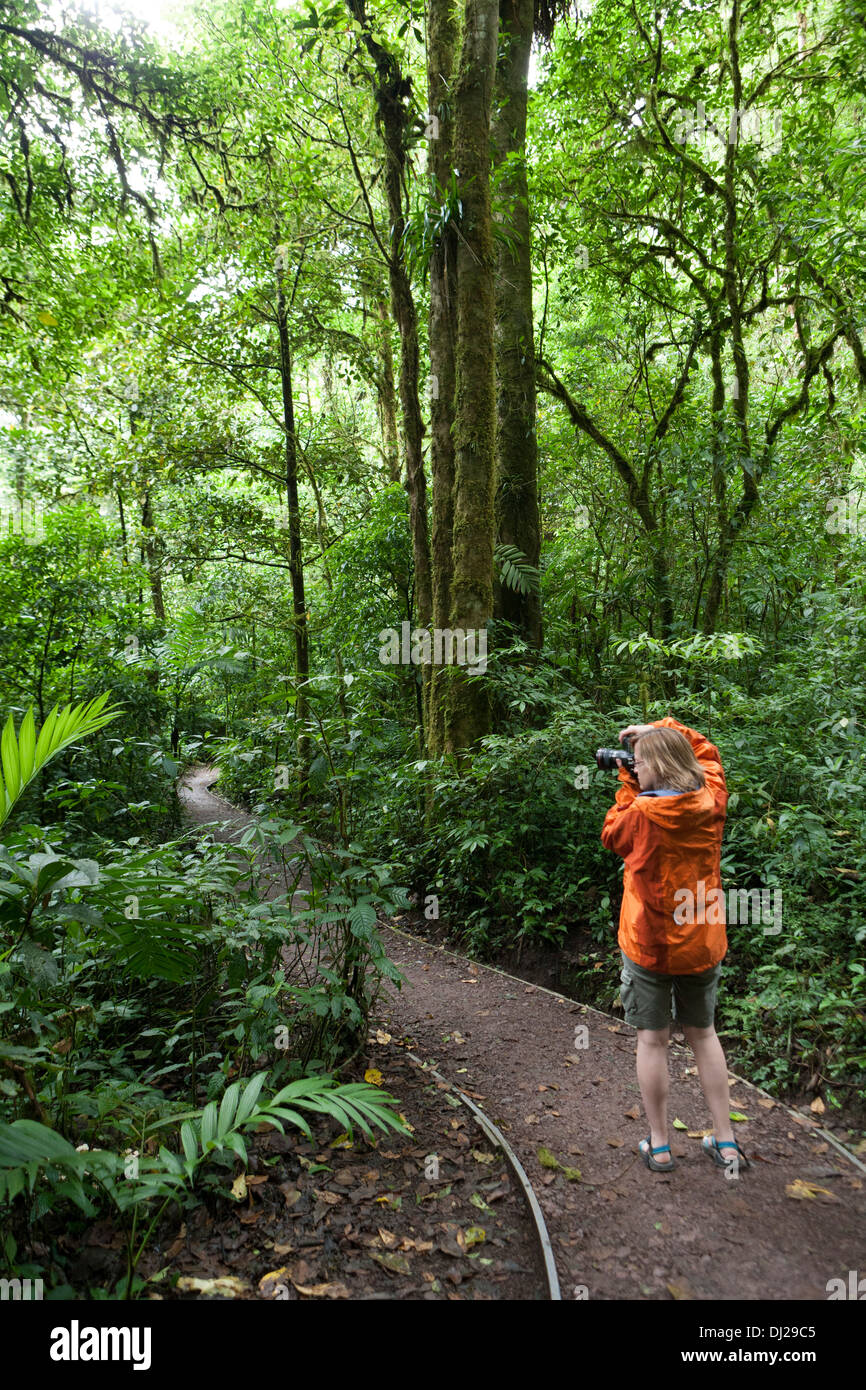 A woman walking through The Monteverde Cloud Forest Reserve in Costa Rica. Stock Photo