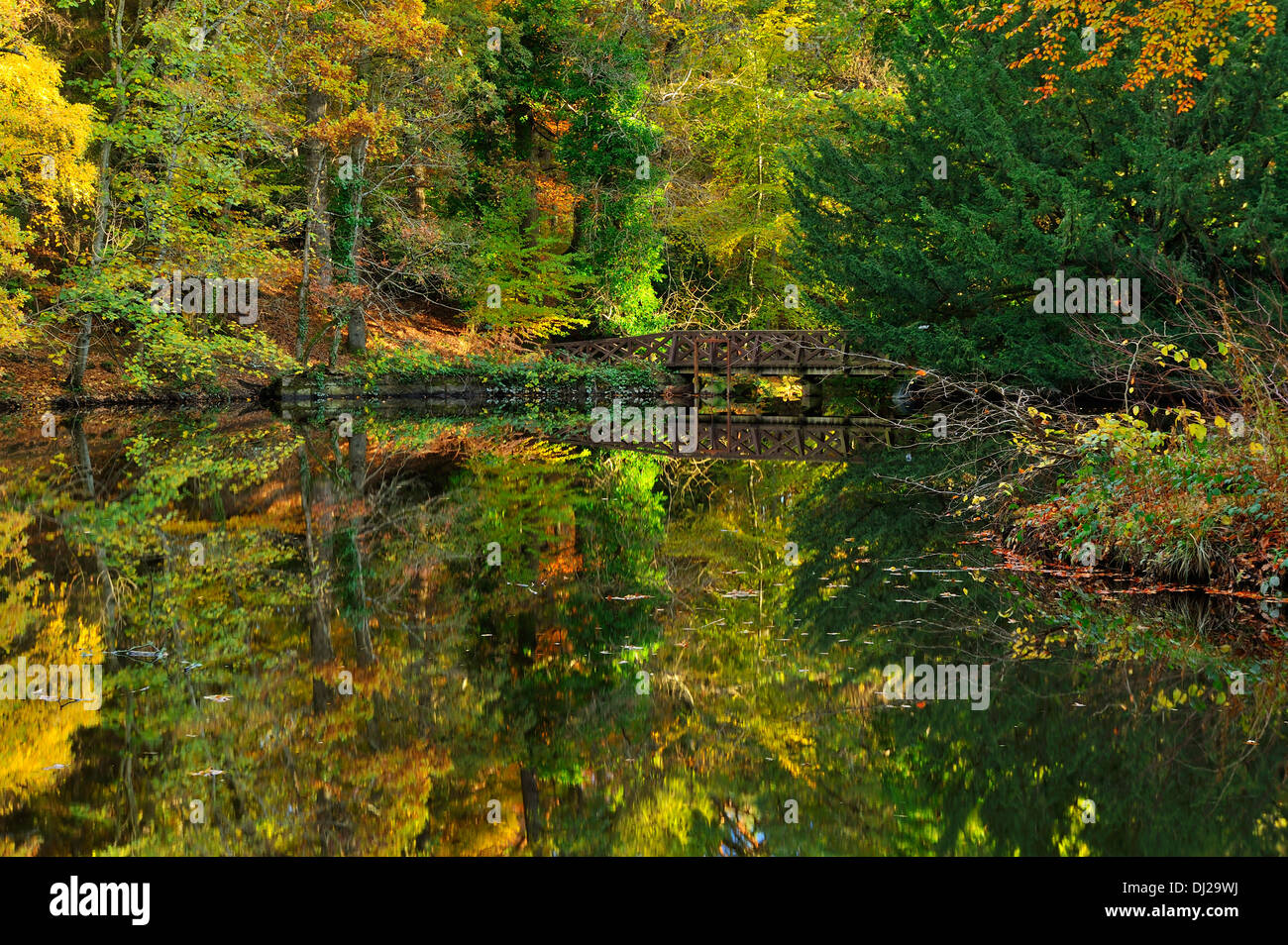 Autumn reflections in artificial lake - Crathes Castle Estate, Aberdeenshire, Scotland Stock Photo