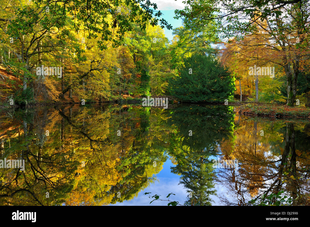 Autumn reflections in artificial lake - Crathes Castle Estate, Aberdeenshire, Scotland Stock Photo