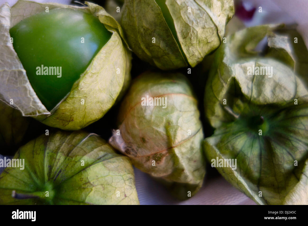 Tomatillo skins hires stock photography and images Alamy