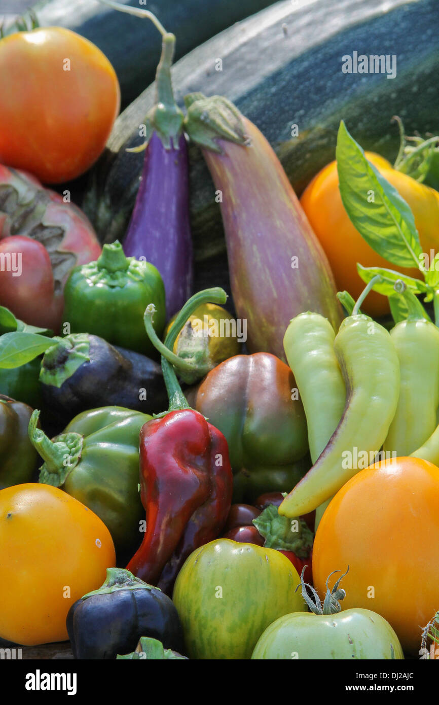 Vertical Orientation of Fall Harvest Vegetables Stock Photo