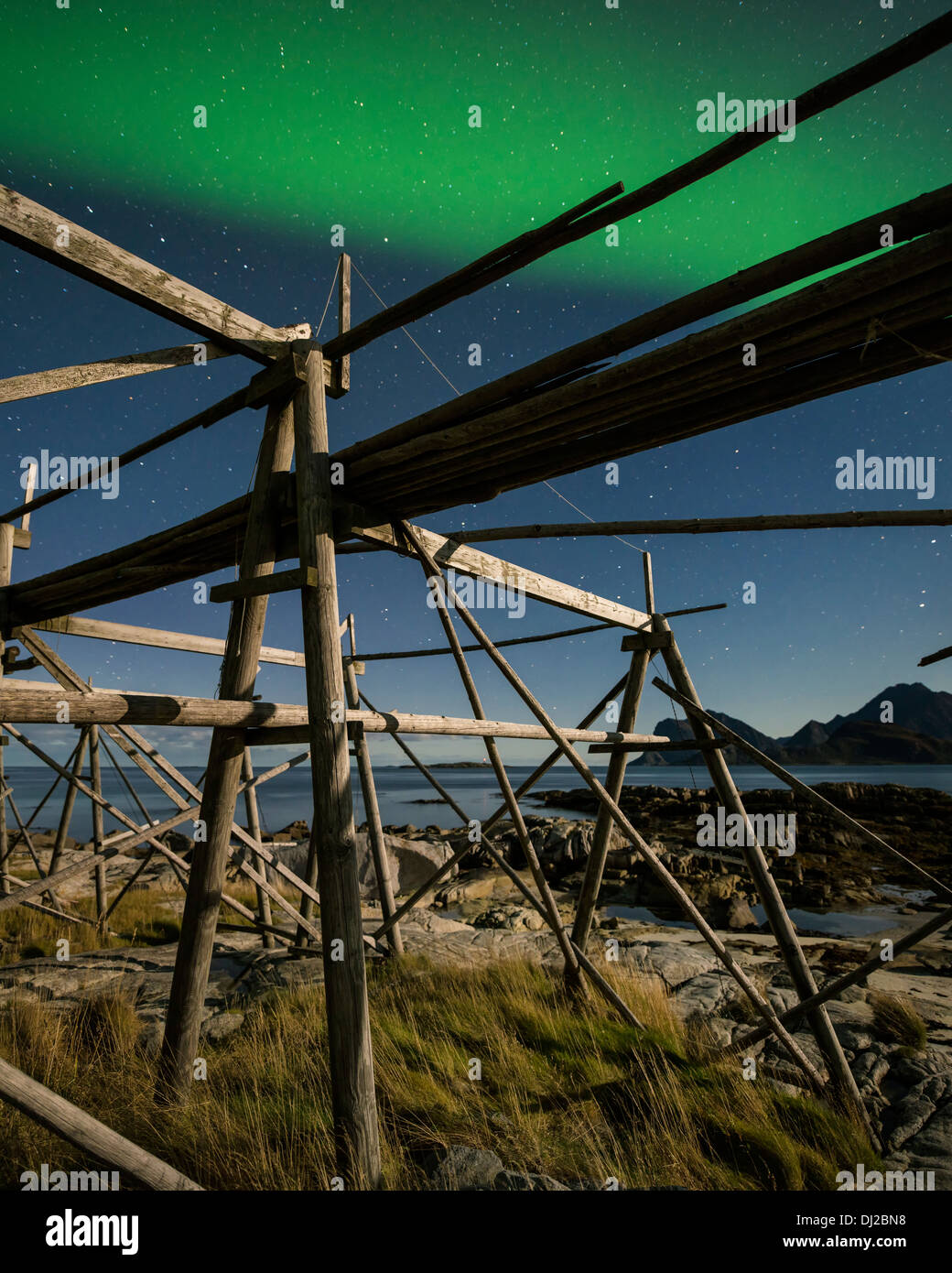 Northern Lights shine in sky over empty cod stockfish drying racks, near Storsandnes, Flakstadoy, Lofoten Islands, Norway Stock Photo