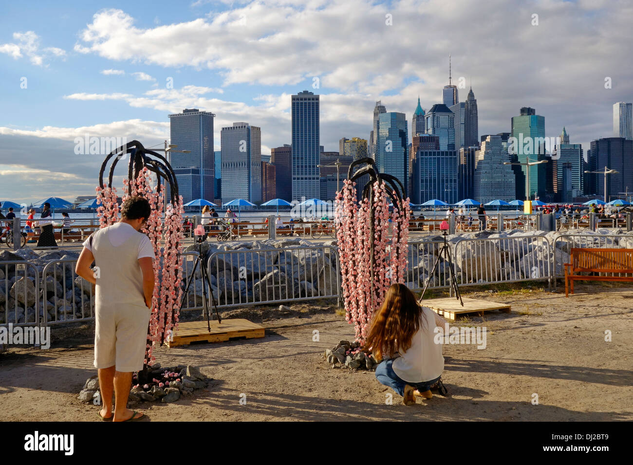 Brooklyn bridge park flowers hi-res stock photography and images - Alamy