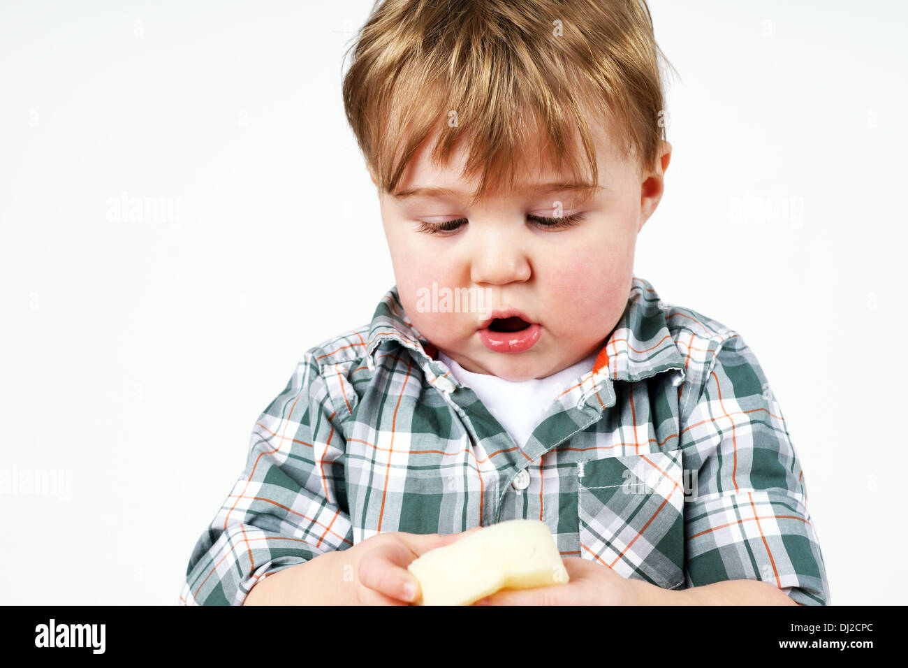 Cute little blond toddler boy discovering a sponge, growth or child development concept Stock Photo