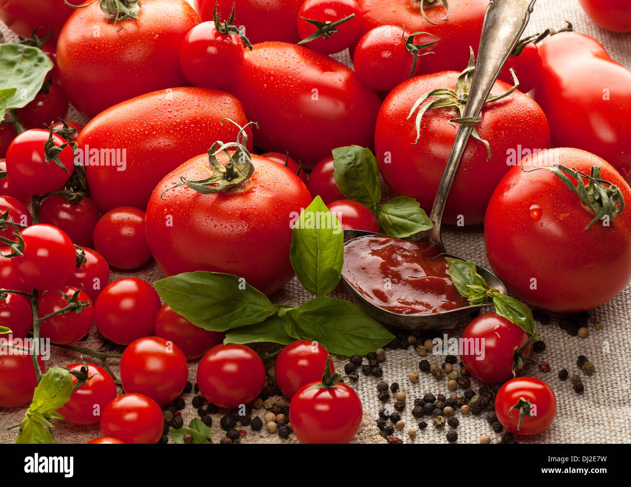 Group of different tomatoes among basil leaves and peppe Stock Photo