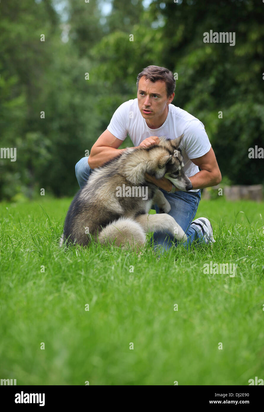 Malamute man hotsell