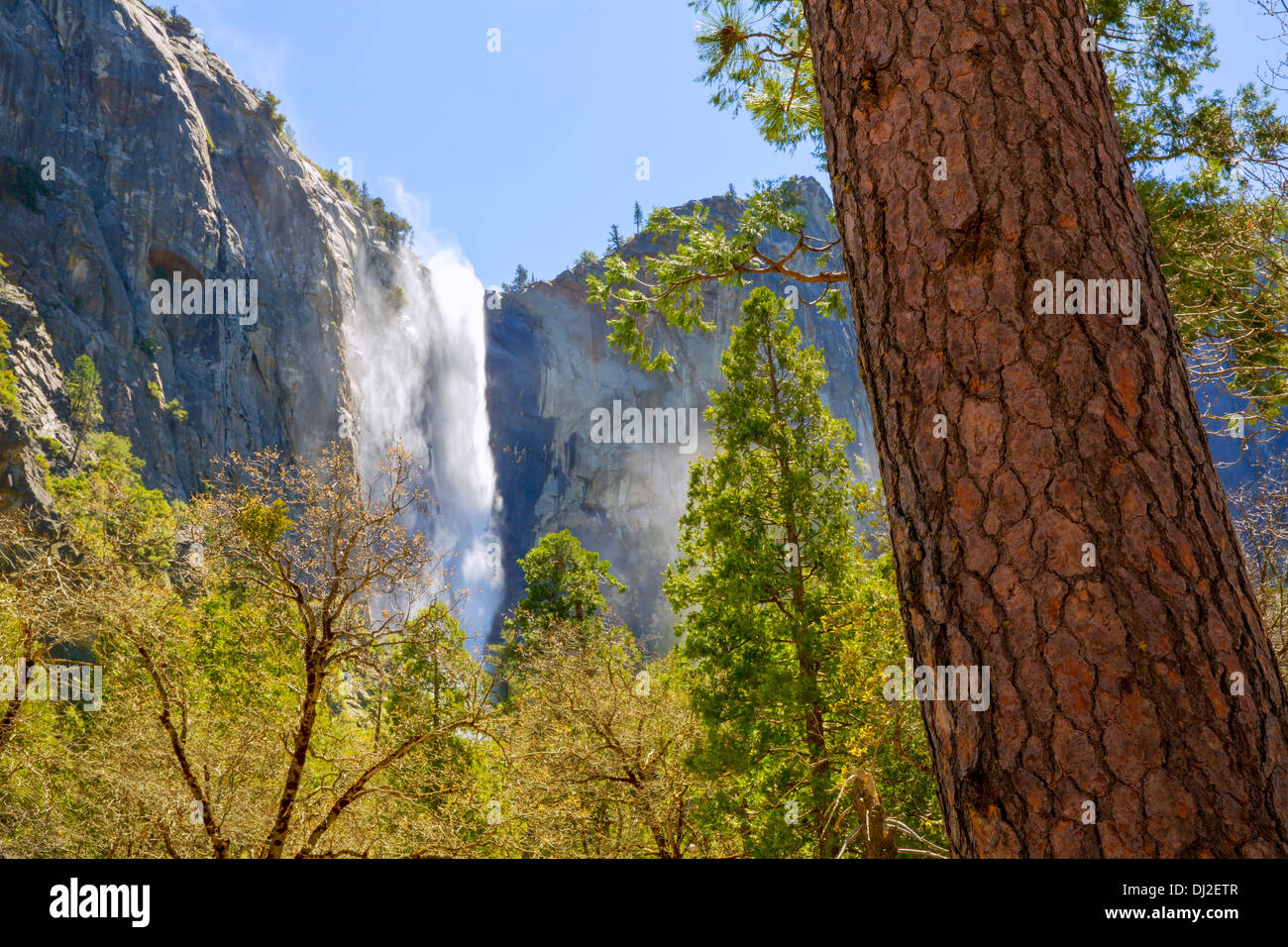 bridalveil fall yosemite national park