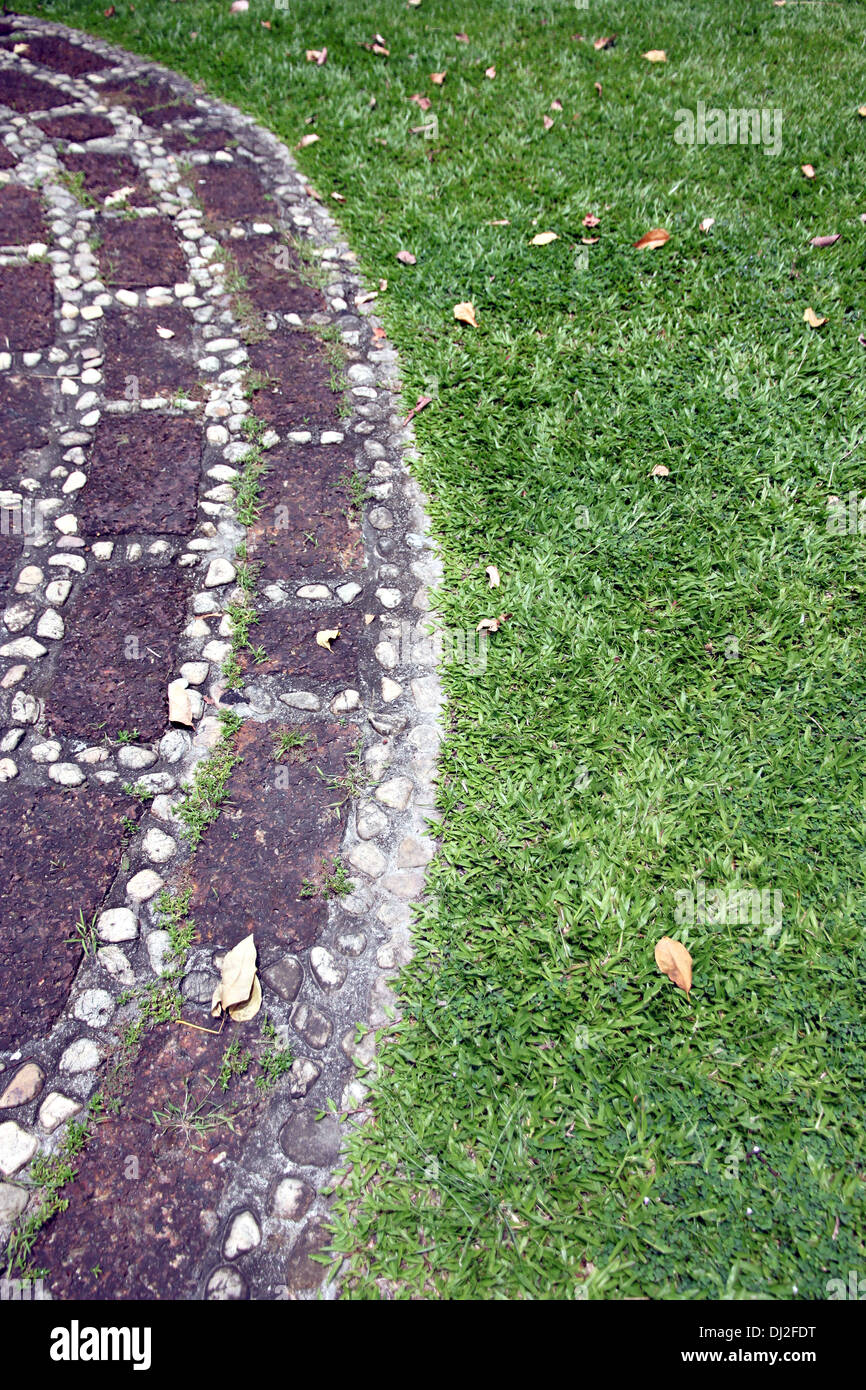 The Picture Focus Boundaries between the stones on the grass in the park. Stock Photo