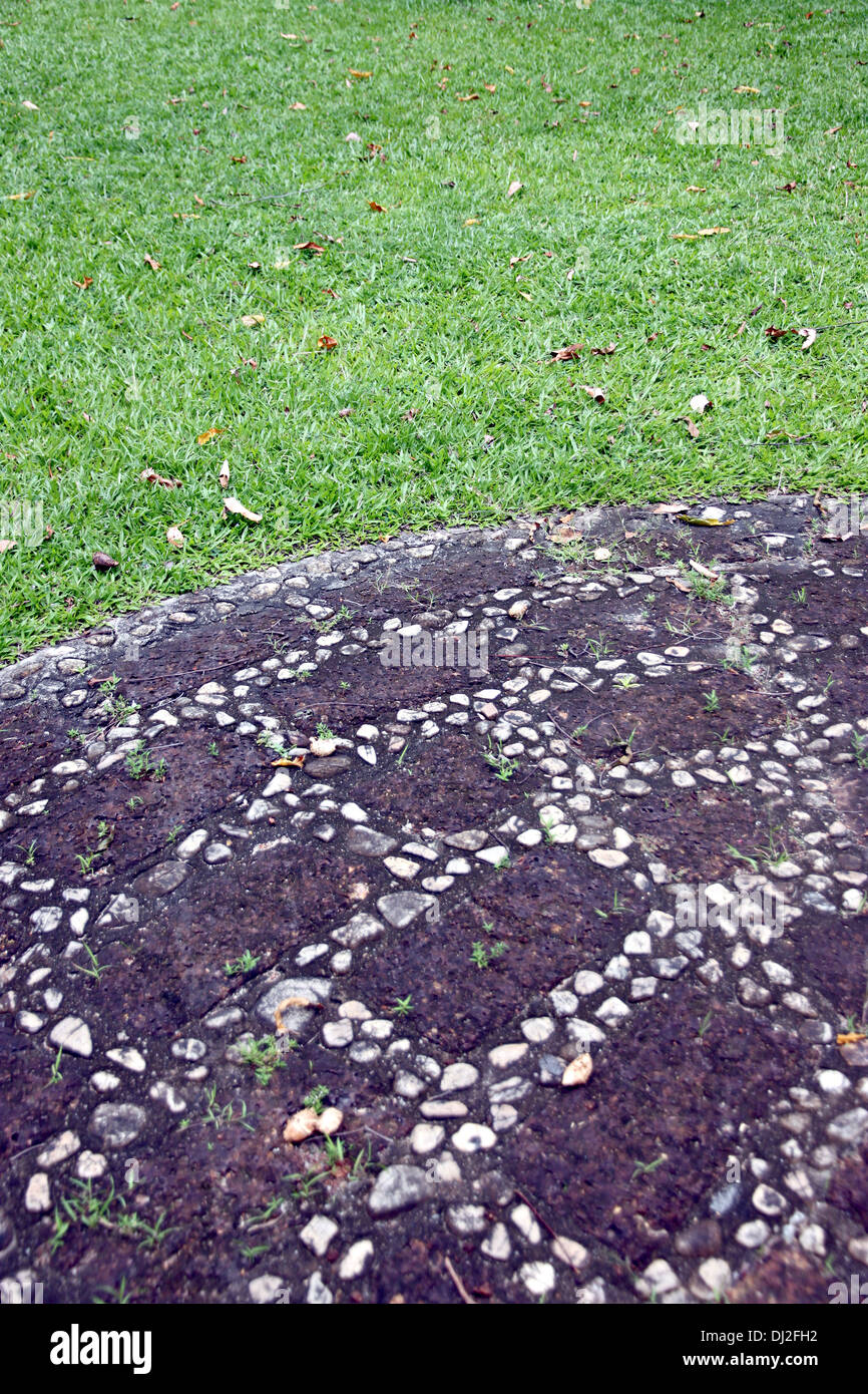 Focus Boundaries between the stones on the grass in the park. Stock Photo