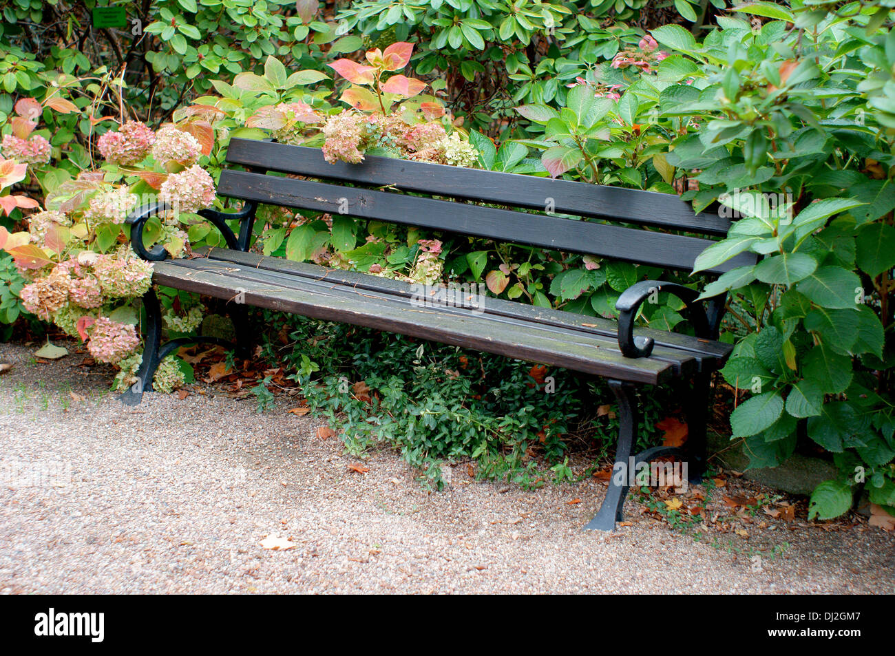 Lonely autumn park bench empiness solitude nostalgy nostalgic Stock Photo
