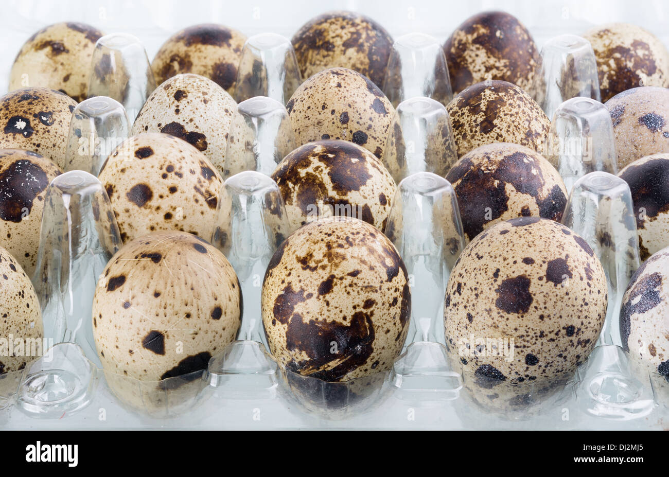 pack of quail eggs on the ground glass, some pictures collected together to increase the focus
