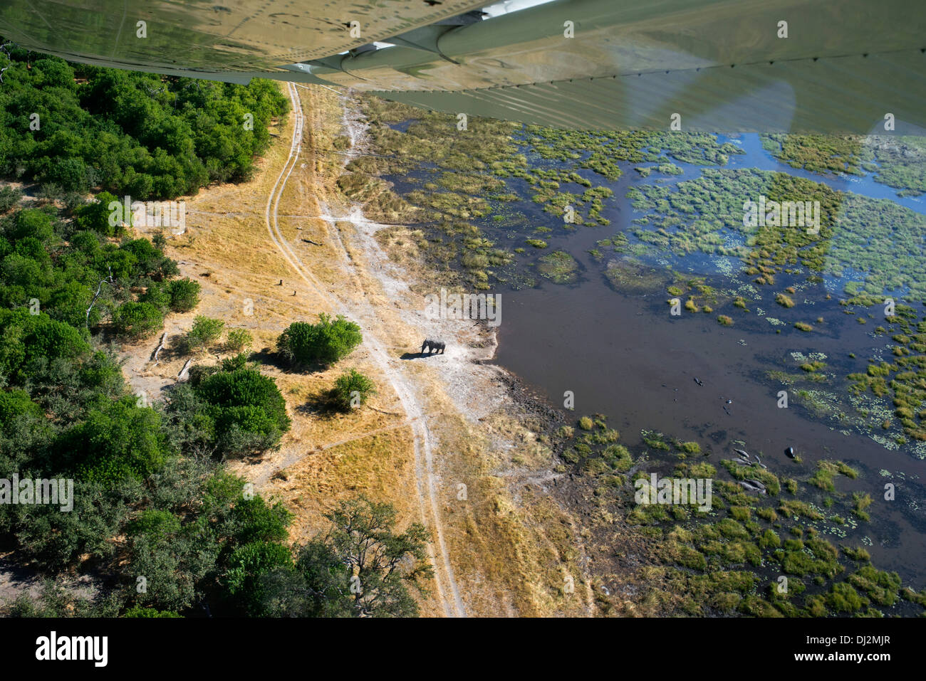 Aerial views from the plane before take the Camp Savute Elephant Camp by Orient Express in Botswana in the Chobe National Park. Stock Photo