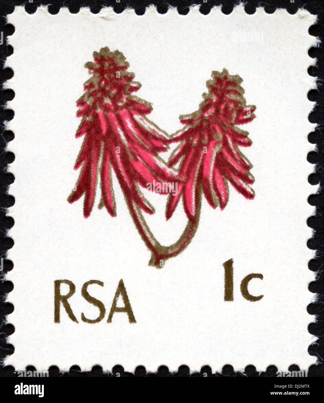 postage stamp Republic of South Africa RSA 1c featuring Coral Tree Flower dated 1969 Stock Photo