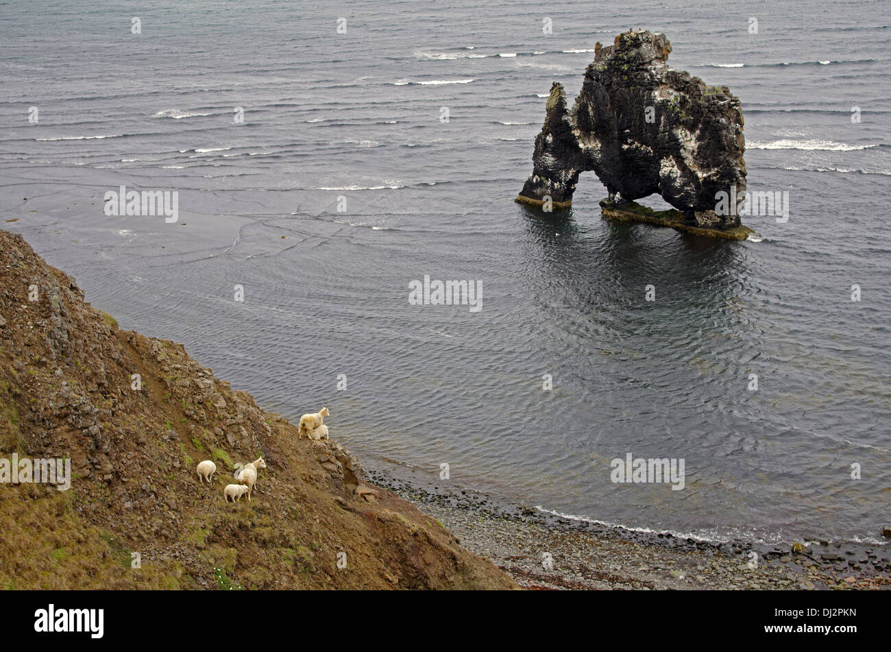 the rock hvitserkur Stock Photo