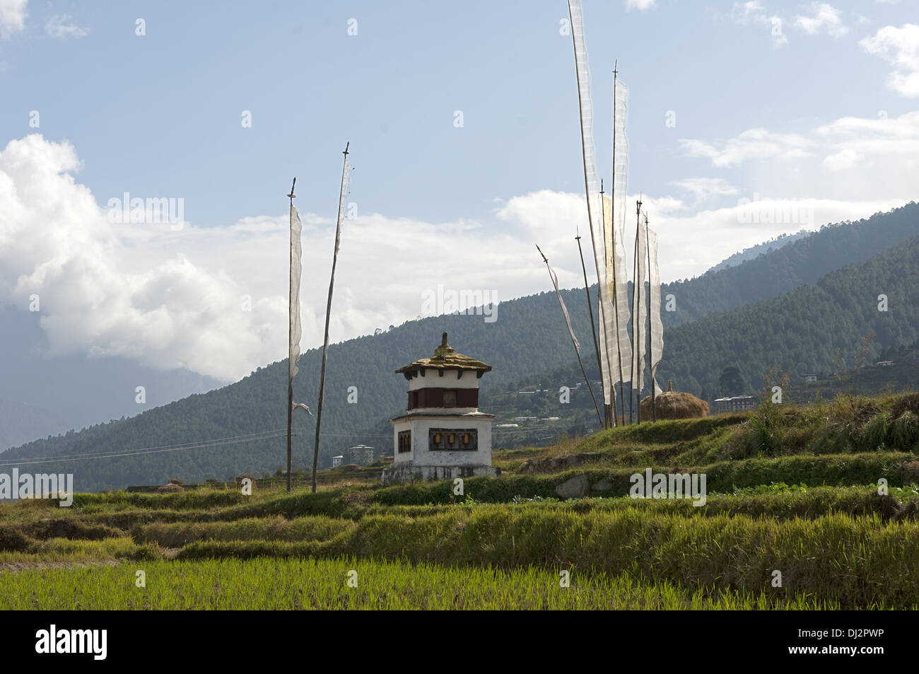 Terraced rice plots with chorten, Bhutan Stock Photo