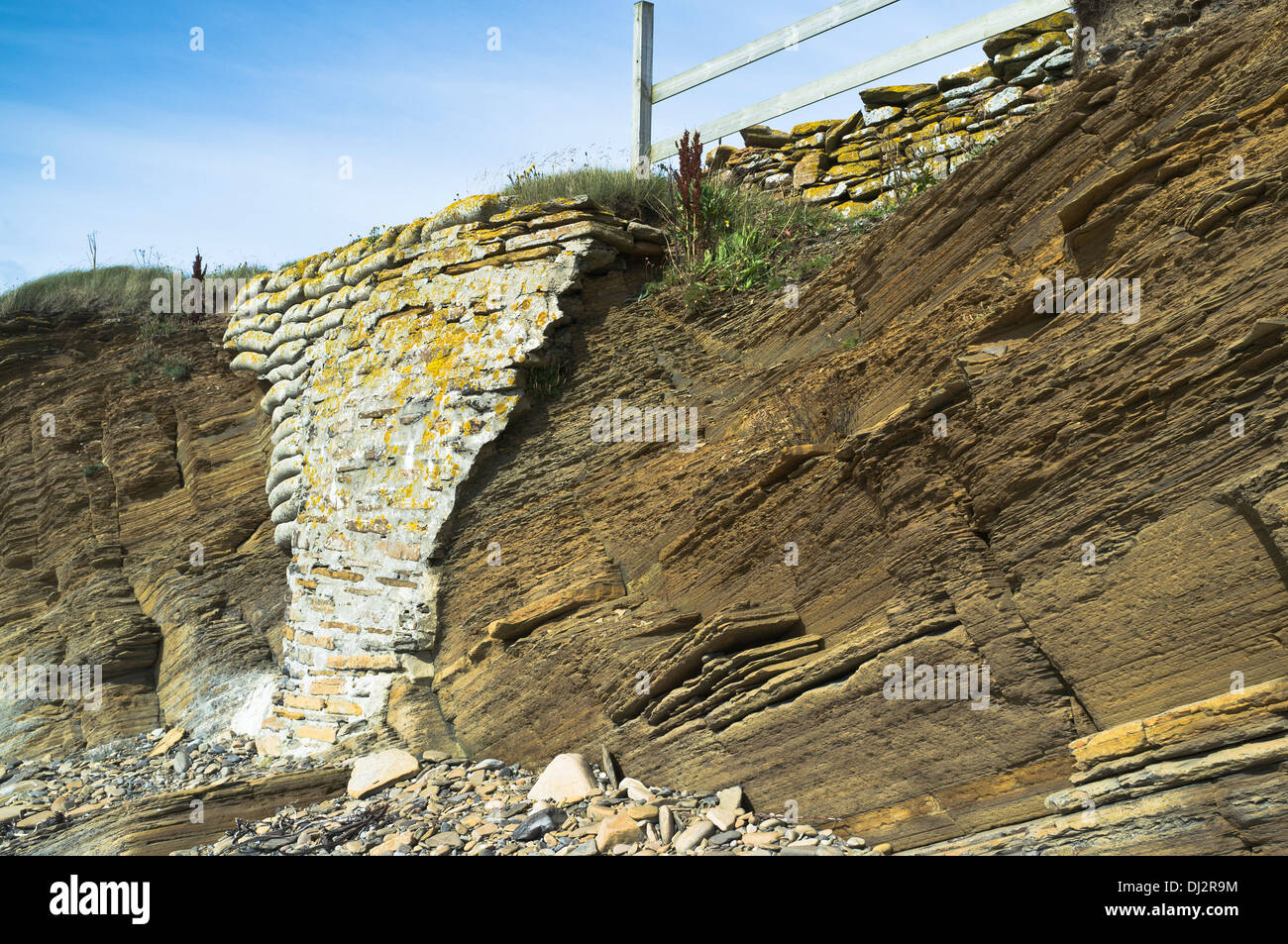 dh  COASTAL EROSION UK Eroded cliff repair coastal erosion defense Stock Photo