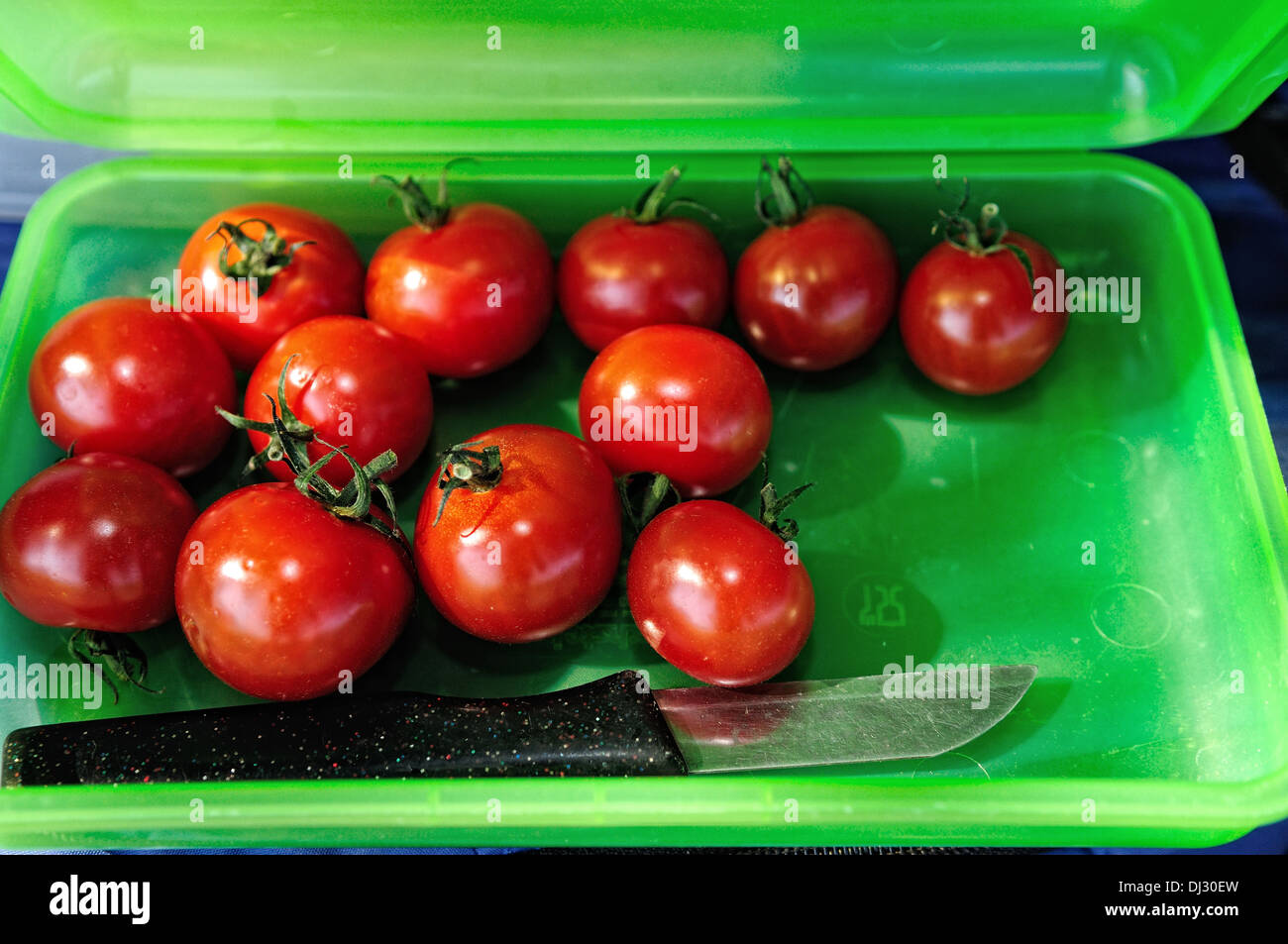 Tomatoes at Vespers box, Stock Photo