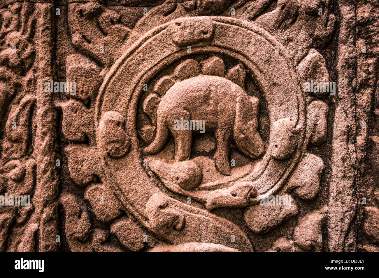 The 'Dinosaur' carving on one of the walls inside the Ta Prohm Temple, Cambodia. Stock Photo