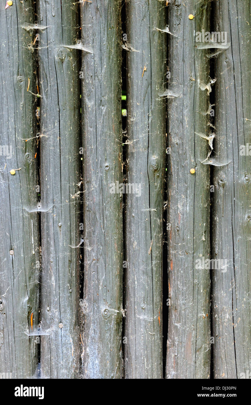 Wood with cobwebs Stock Photo