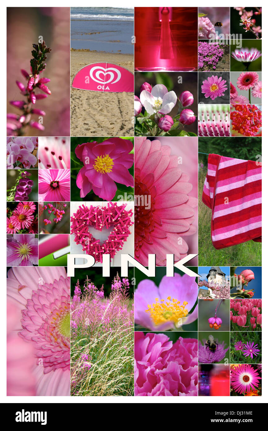 Pink Colors Stock Photo