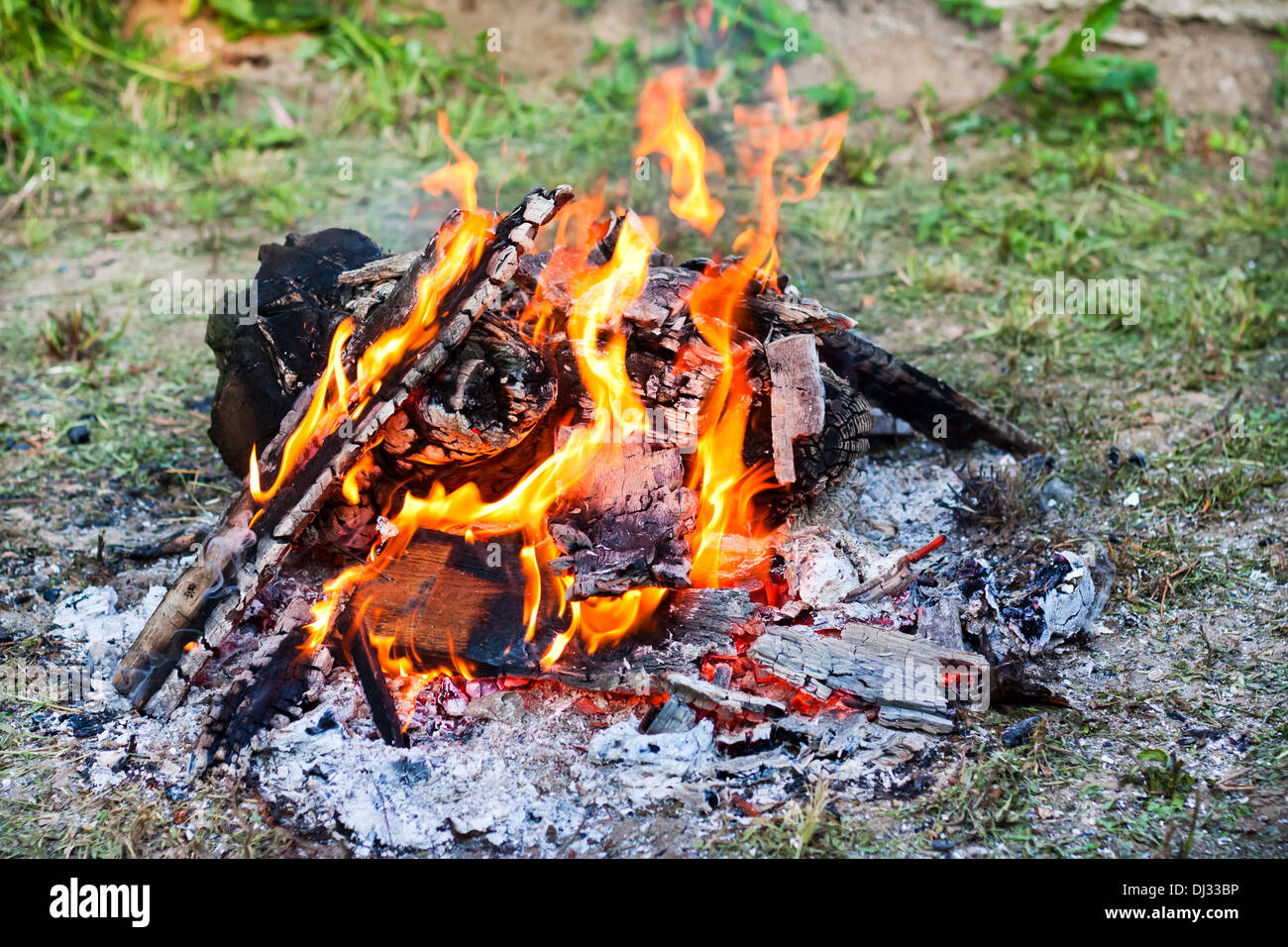Campfire in nature Stock Photo - Alamy