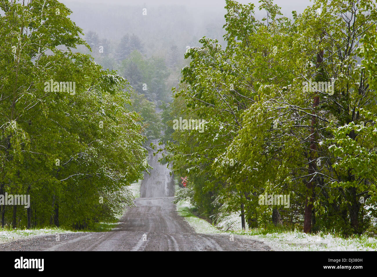 Lac brome hires stock photography and images Alamy