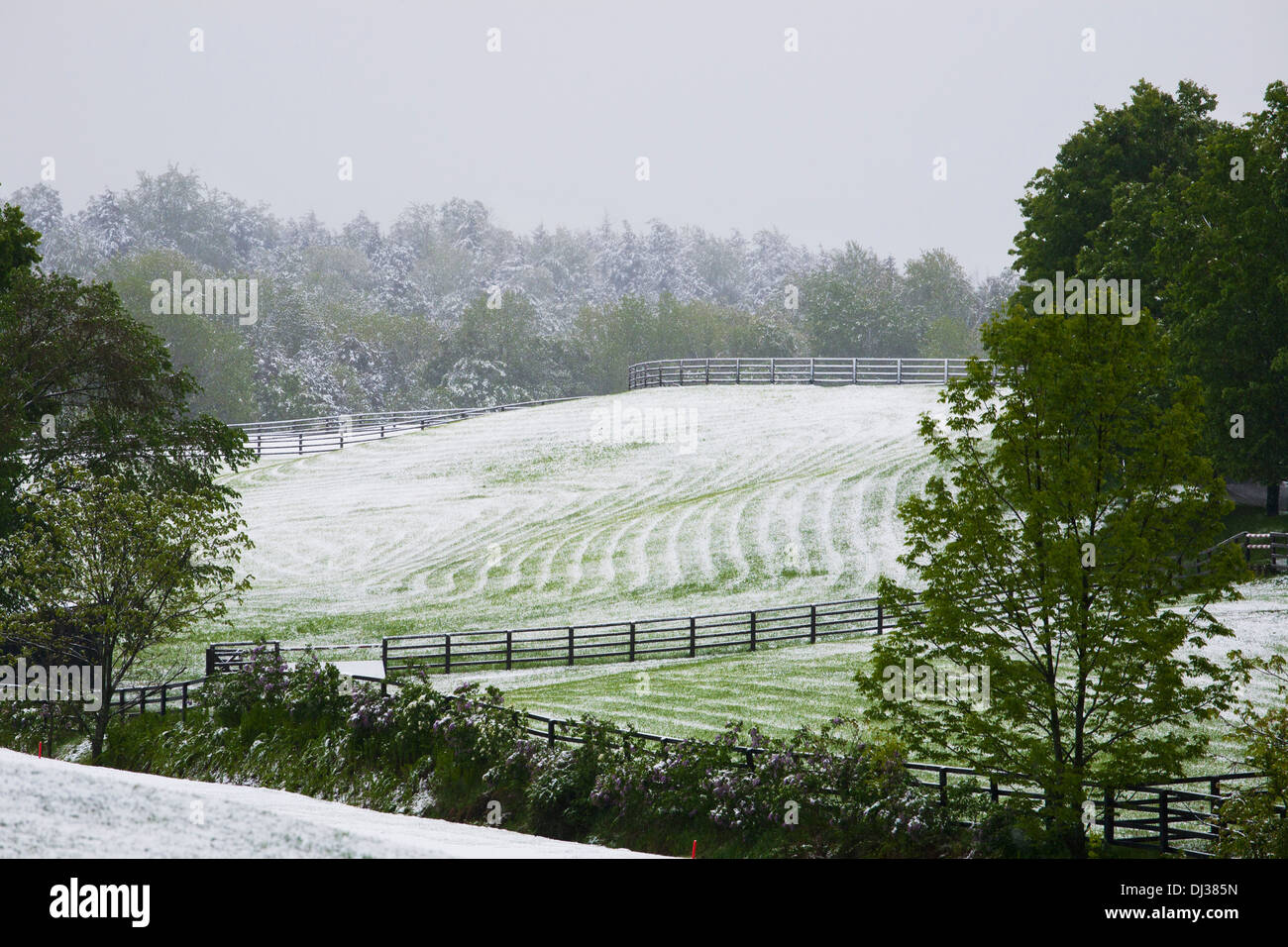 Late Spring Snowfall On The Farm Fields; Ville De Lac Brome, Quebec, Canada Stock Photo Alamy