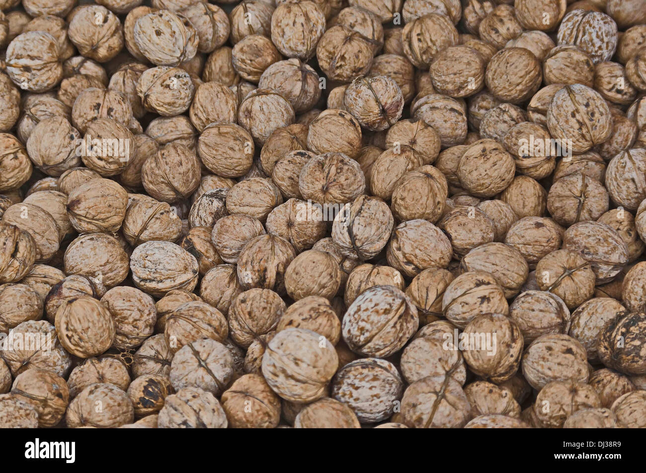 Group of most ripe walnuts fruit for background Stock Photo