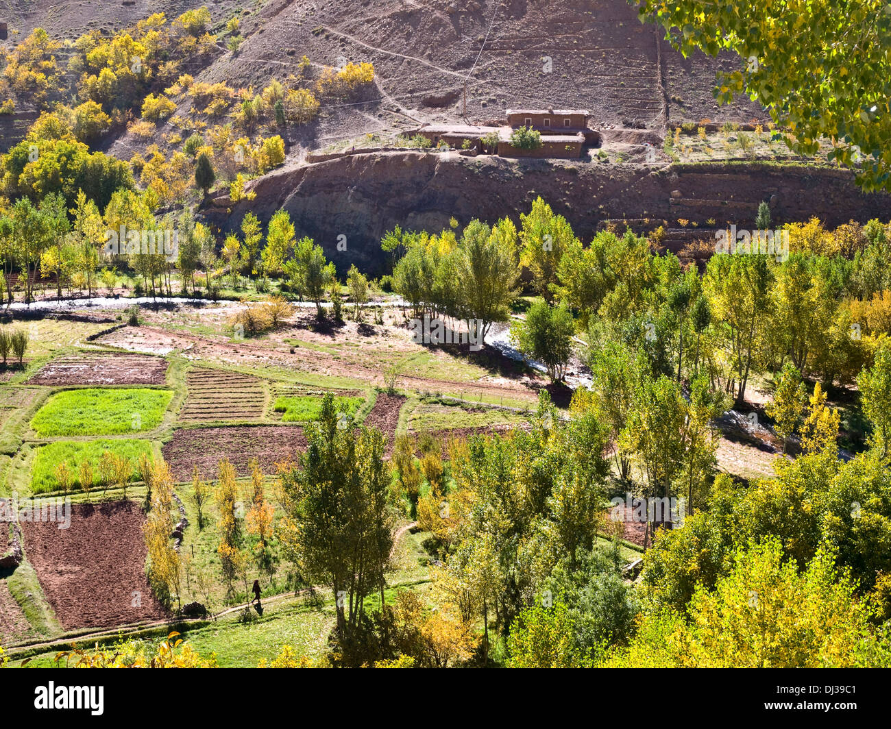 The fertile Tessaout valley in the M'Goun region of Morocco, Atlas Mountains Stock Photo