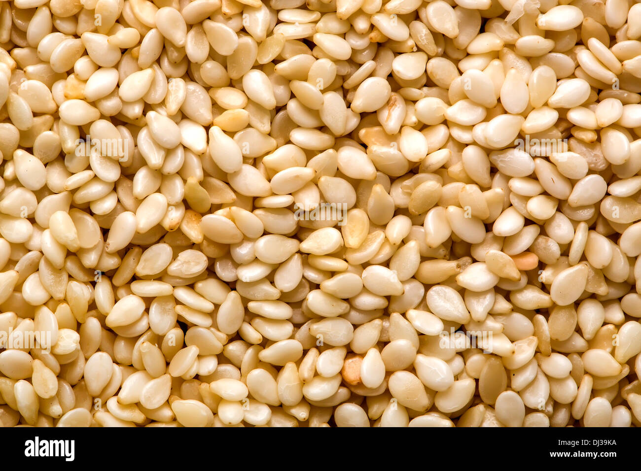 Beniseed hi-res stock photography and images - Alamy