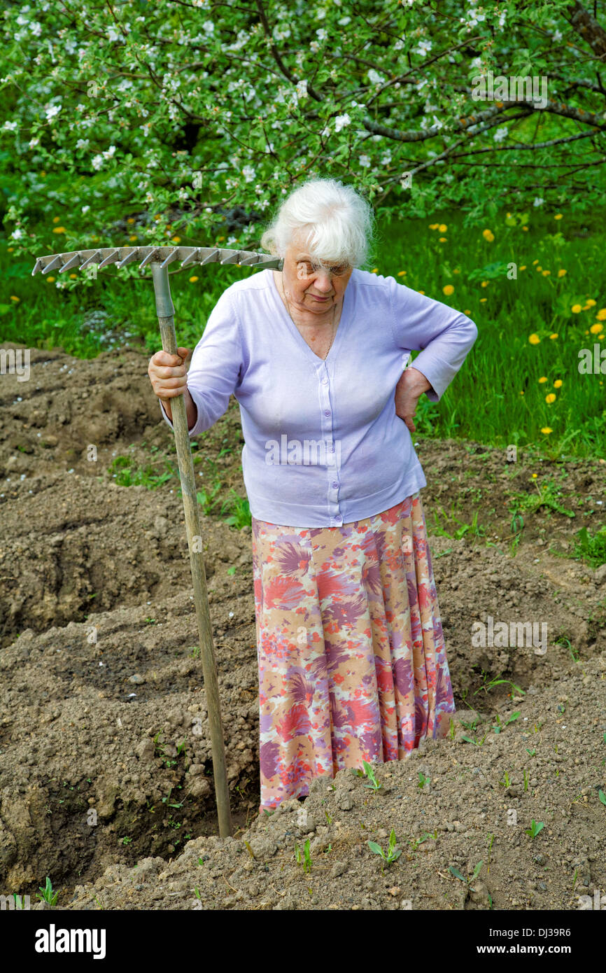 The old woman works in a blossoming garden Stock Photo - Alamy