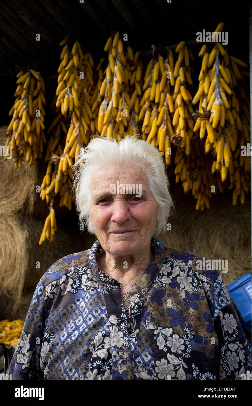 Harvesting corn in Galicia, Spain. harvest farm farmer country countryside peasant rural work working worker Stock Photo