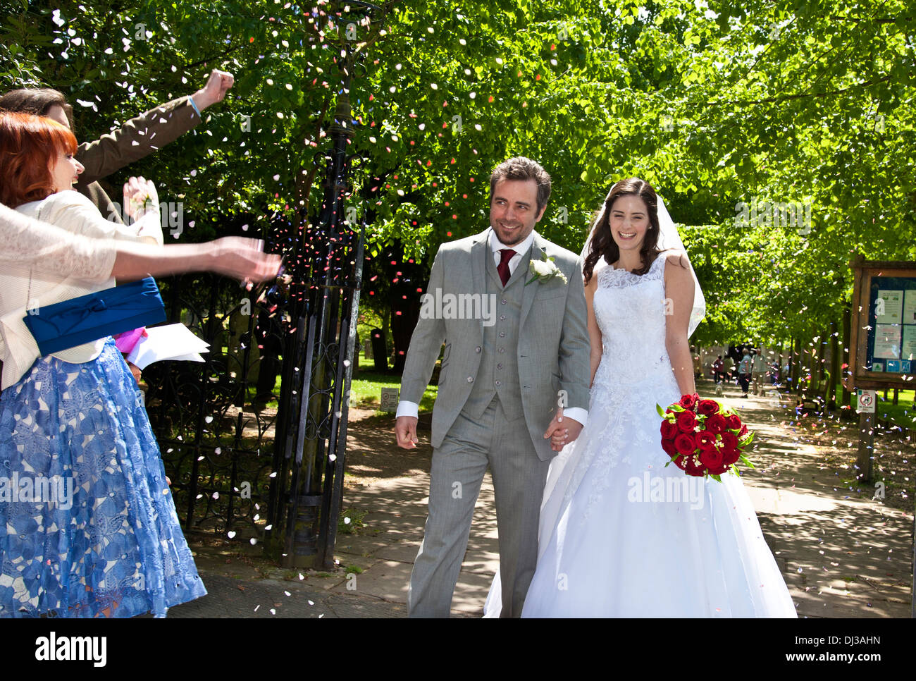 Attractive happy young Bride and Groom just married walking down tree lined church path  showered with confetti by guests Stock Photo
