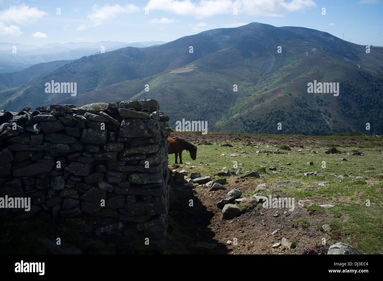 Landscape in Asturias, Spain. mountain rural countryside Stock Photo