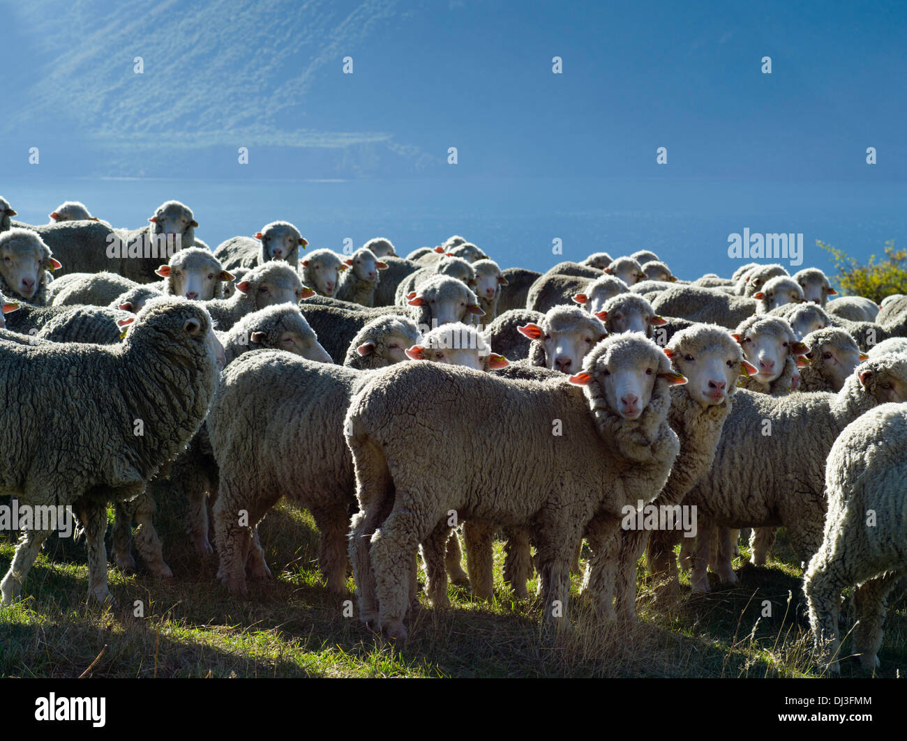 Agricultural sector horizontal hi-res stock photography and images - Alamy
