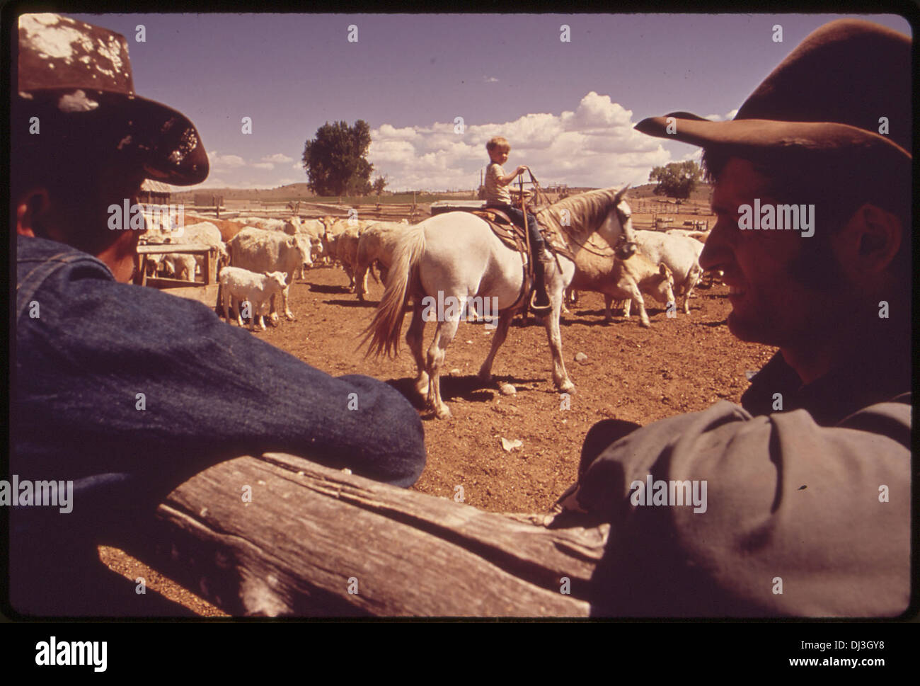 A ranch scene featuring the rural life and agricultural activities of a ...