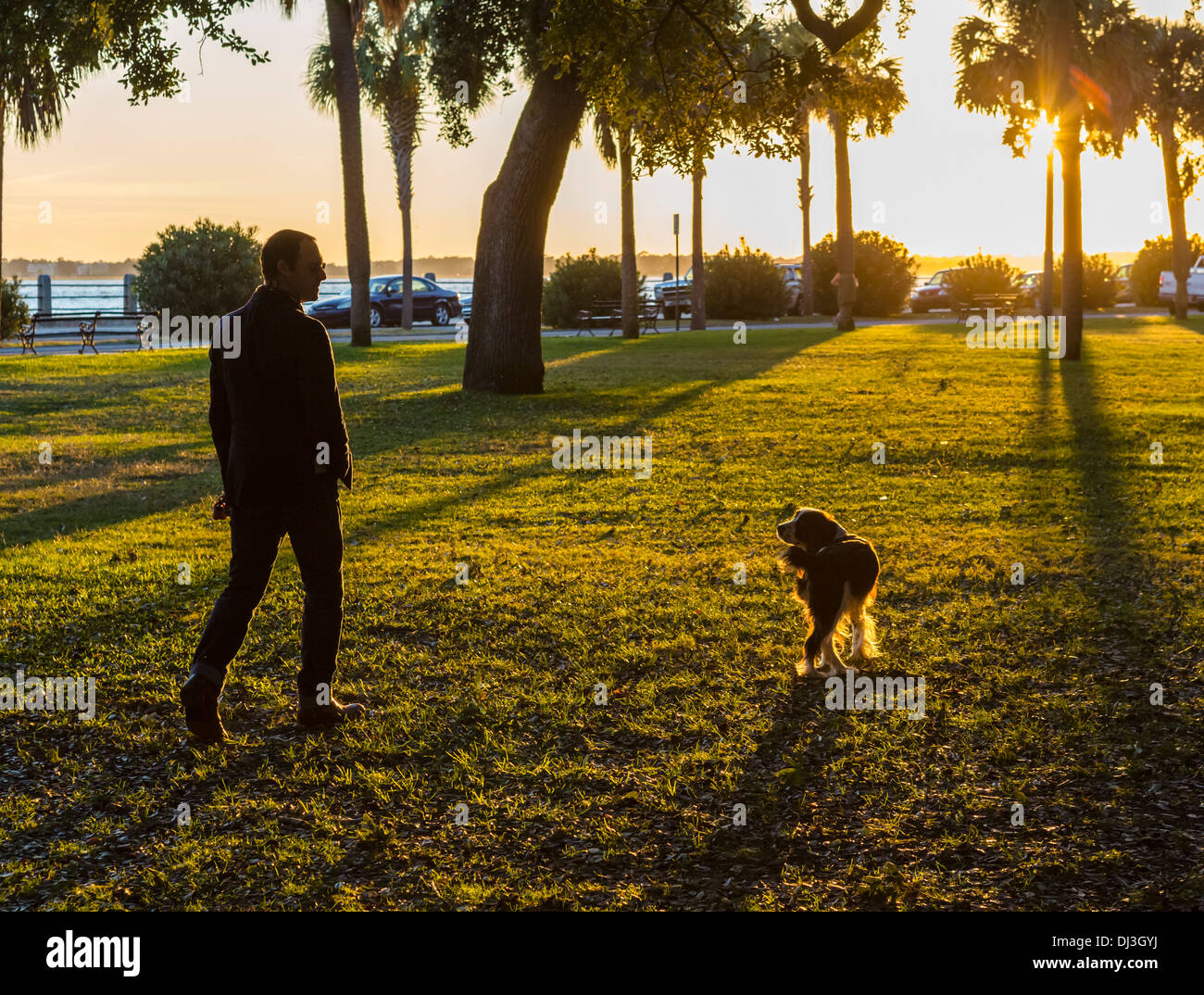 Man walking his dog at sunset in White Point Garden, Charleston, South Carolina, USA Stock Photo