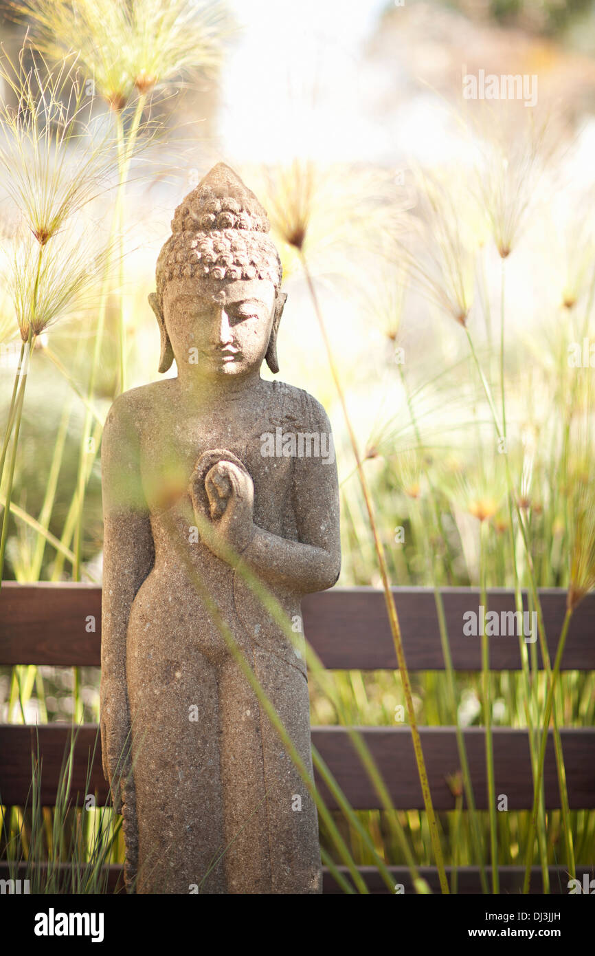 Tall grass around Buddha statue in sunny garden Stock Photo