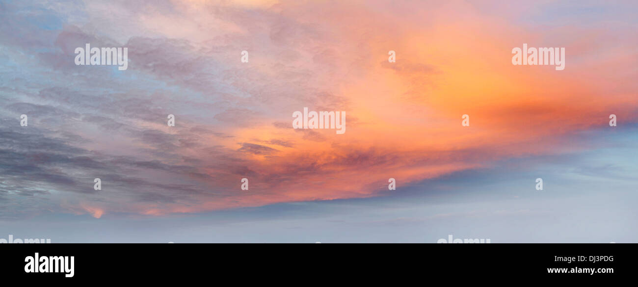 Orange colors hi-res stock photography and images - Alamy