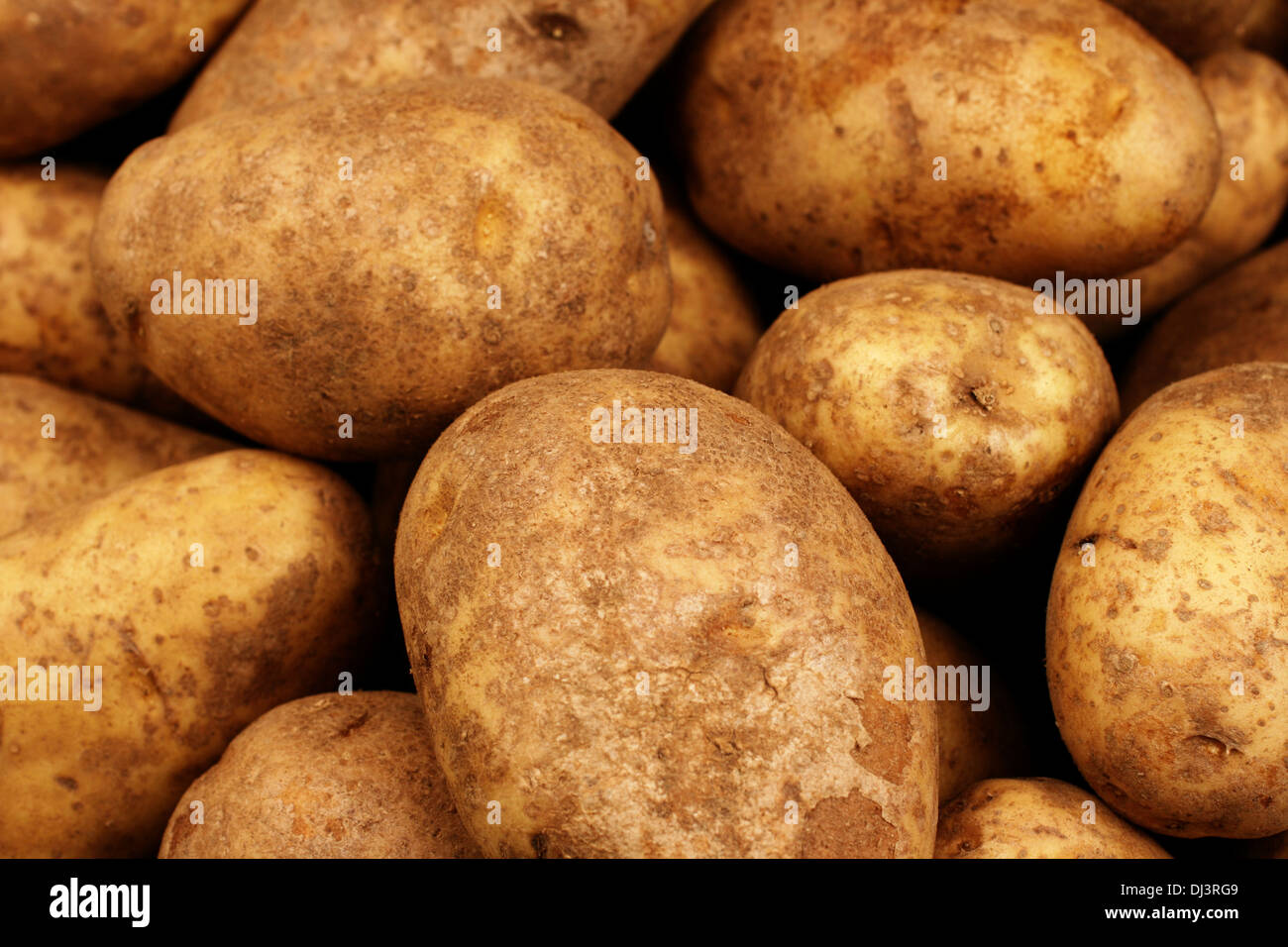 Russet Brown Skin High Resolution Stock Photography and Images - Alamy