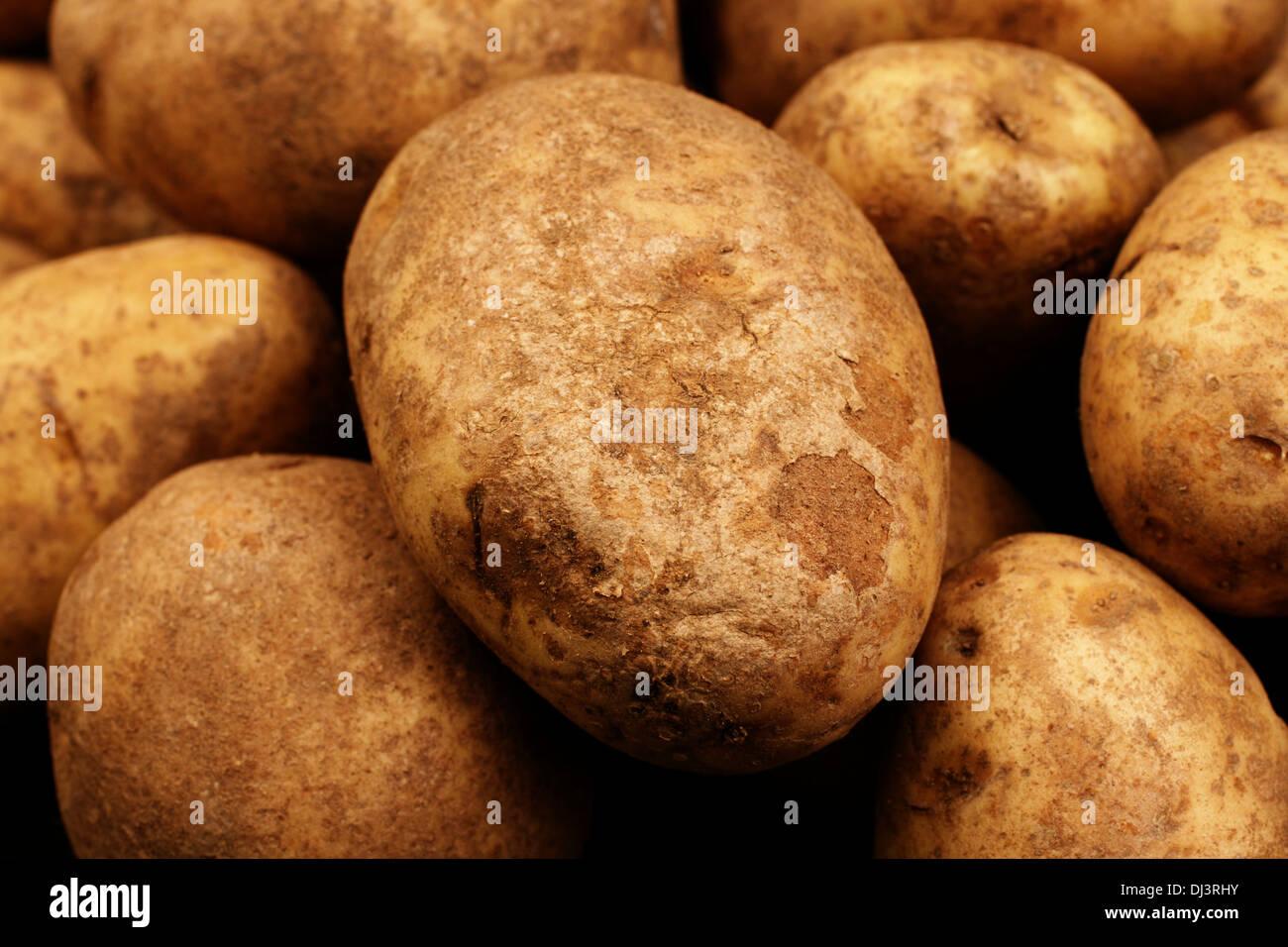 Close shot russet potatoes hires stock photography and images Alamy
