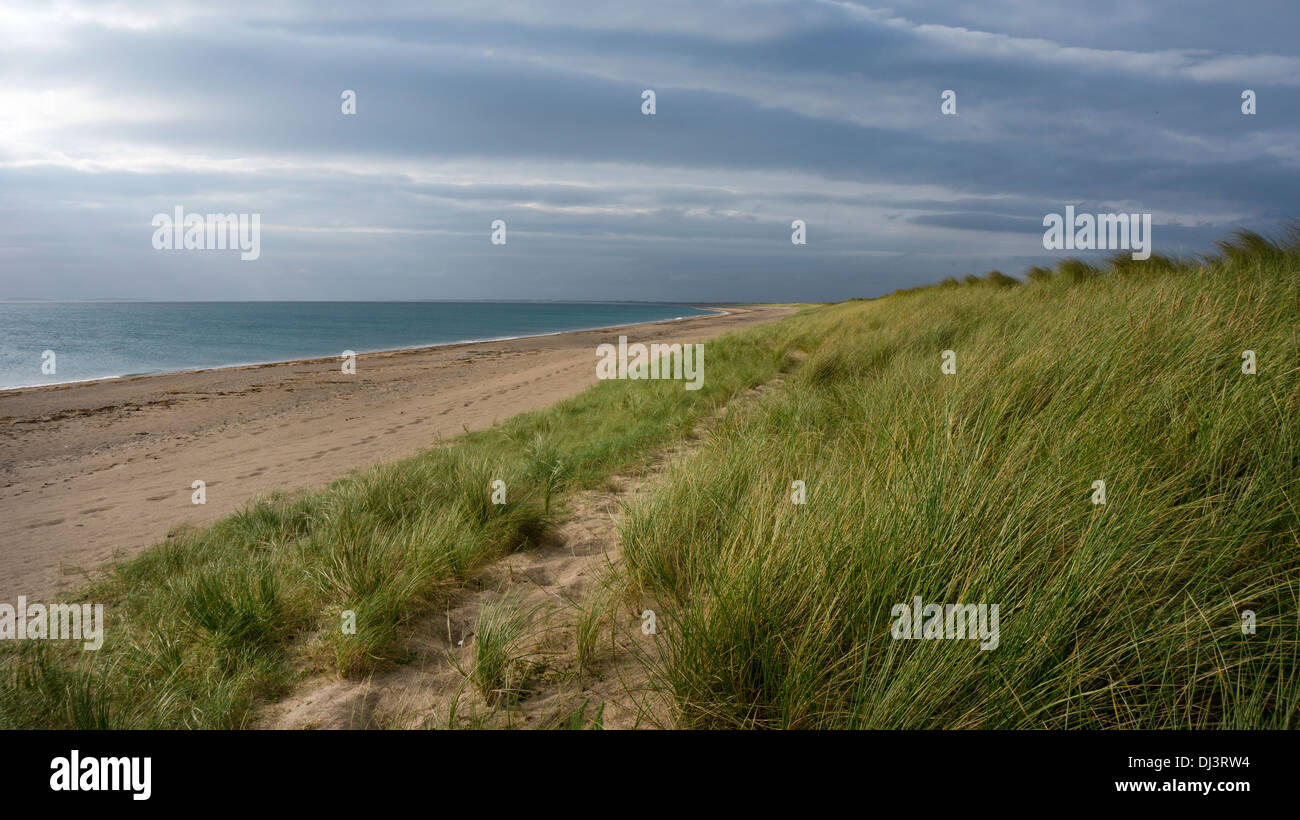 Kilmore beach and sand dunes, County Wexford, Ireland Stock Photo Alamy