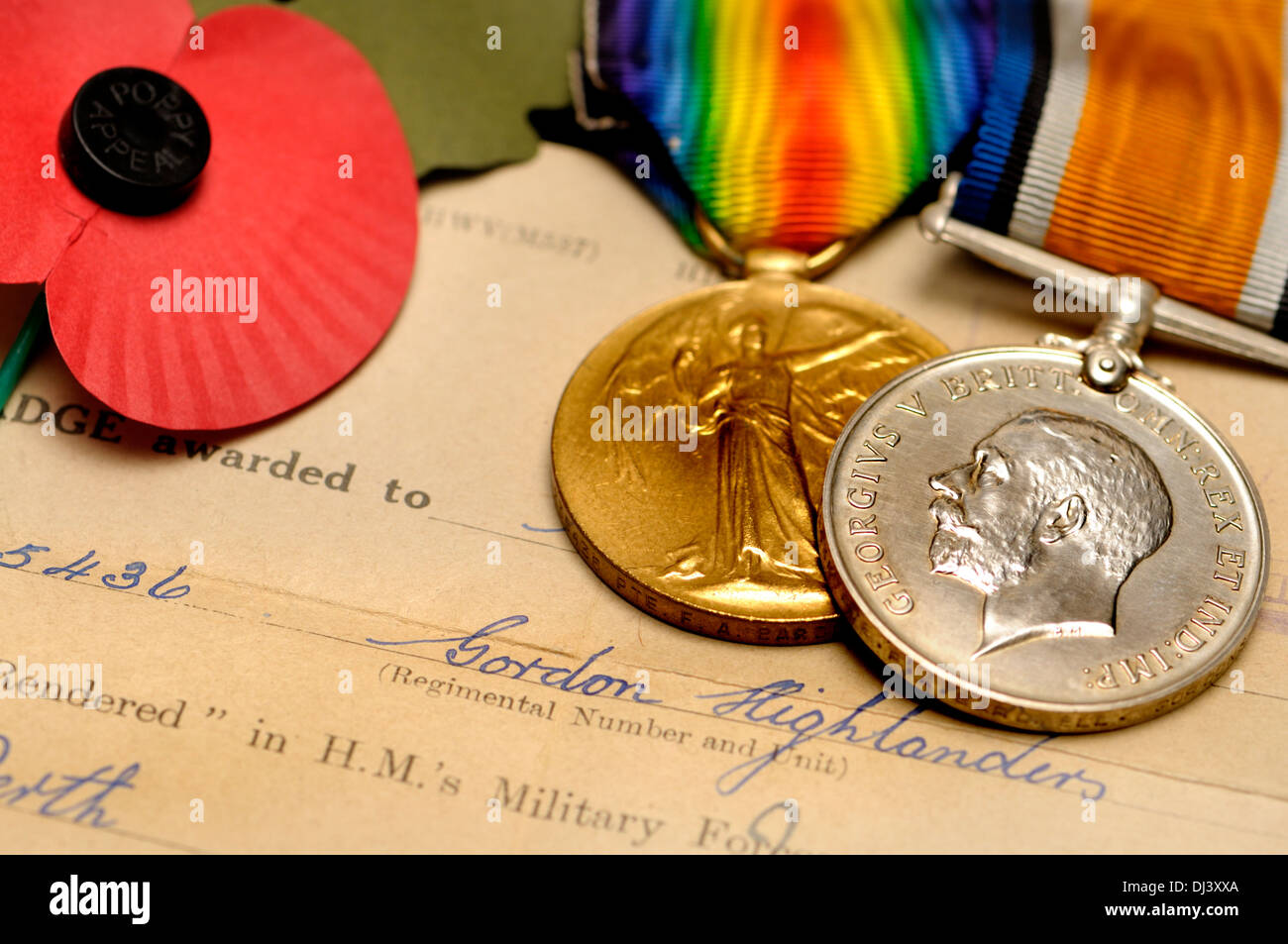 First World War British medals. Victory Medal (golden) War Medal (silver) and poppy Stock Photo
