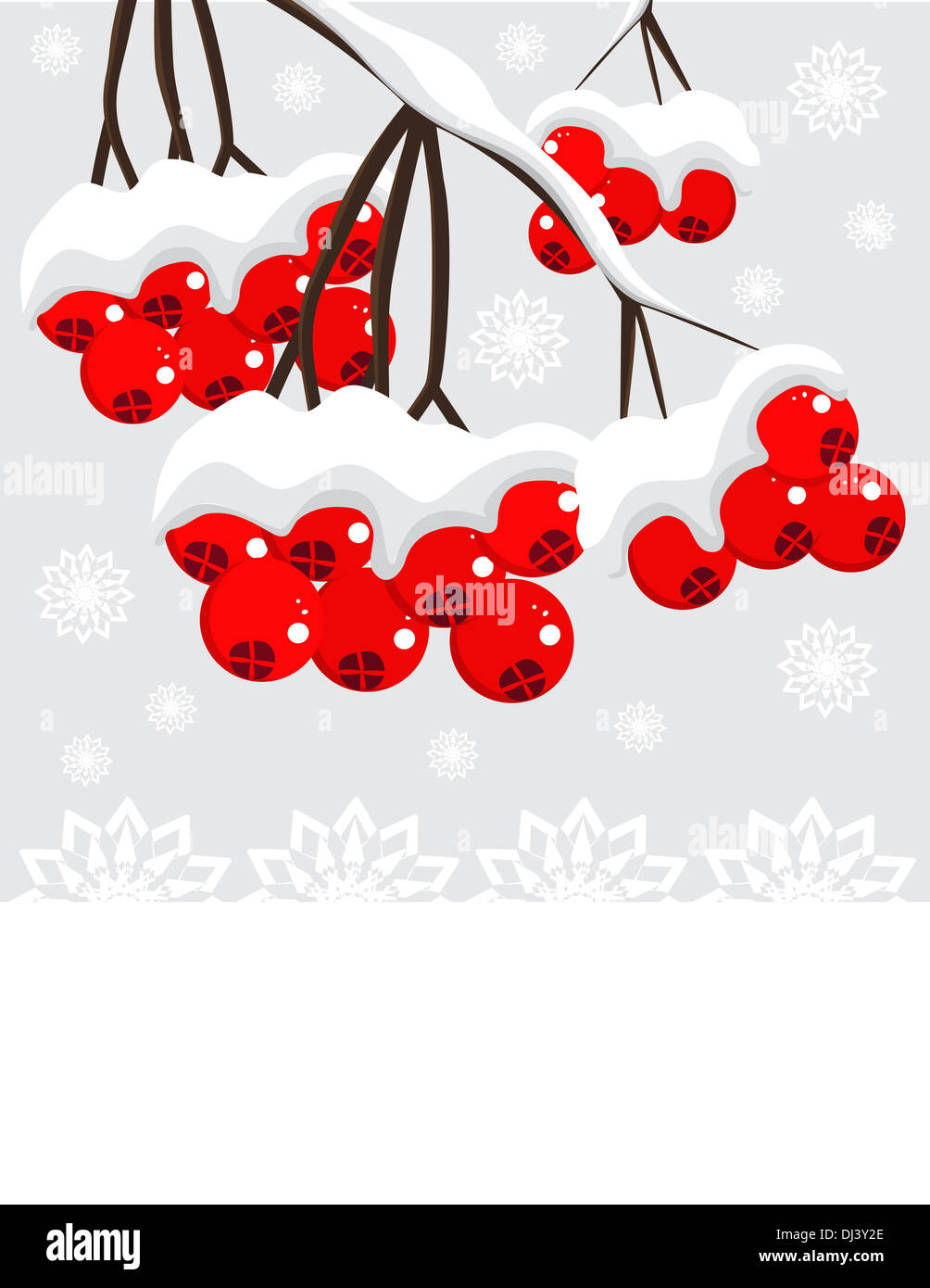 Winter background with red berries and snow Stock Photo - Alamy